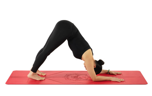 Dolphin Pose