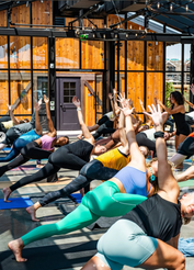 Solara Wellness Festival
