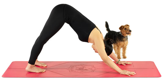 Every Day Must Have its Dog: 7 Playful Yoga Down Dog Variations