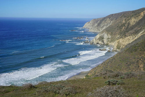 Shape + Shore: A Daylong Yoga Retreat