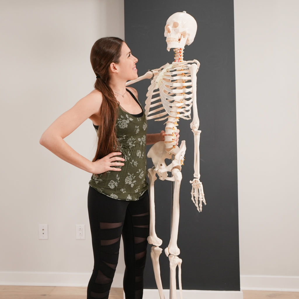Self-Paced Online 20 Hour Yoga Anatomy Teacher Training