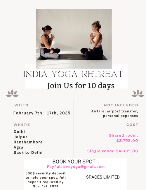 India Yoga Retreat