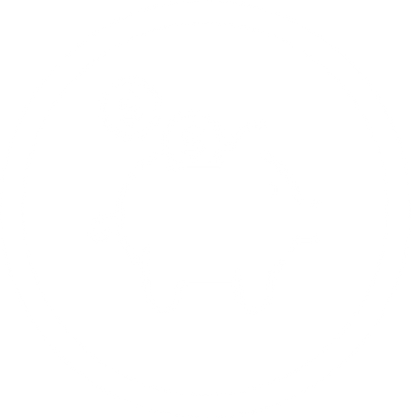 Step 4 icon