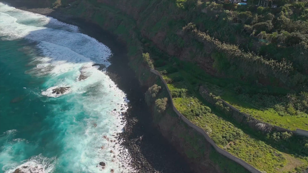 Video of the Deep Forest Green Deep Forest Mindful Garden Liforme Yoga Mat
